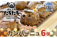 カンパーニュ 6個 セット ぱん パン あんこ 小麦 農林61 ふすま 生地 醗酵 濃厚 芳醇 香り もっちり 食感 ハード系 ぱん工房 たろたろ 埼玉県 嵐山町