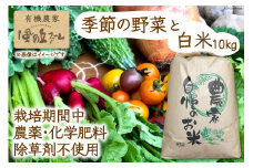 【季節により常温11~3・冷蔵4~10】有機農家の季節の野菜と白米10kgのセット / 風の丘ファーム / 埼玉県 小川町 [020] 野菜 やさい 米 お米 こめ コメ 精米 白米 セット 詰め合わせ