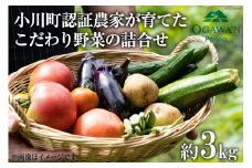 野菜 詰め合わせ 約3kg OGAWA'N [JA埼玉中央 埼玉県 小川町 135] やさい セット 野菜セット 詰合せ