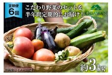 No.137 OGAWA'N　野菜セットの定期便（6ヵ月連続）＜JA埼玉中央＞【埼玉県小川町】