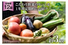 No.138 OGAWA'N　野菜セットの定期便（年12回）　＜JA埼玉中央＞【埼玉県小川町】