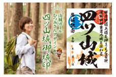 四ツ山城 御城印 1枚 埼玉県指定史跡 比企郡 / おいでなせえ / 埼玉県 小川町