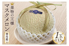 メロン 夏の味覚 マスクメロン 1～1.5kg×1玉《7月後半～8月後半出荷》 期間限定 数量限定 フルーツ 果物 高級 贈答品 冷蔵 / JA埼玉中央 小川農産物直売所 / 埼玉県 小川町