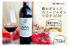 赤ワイン 無添加 動かざること山 ソービニオン小公子 2020 750ml 1本 [武蔵ワイナリー 埼玉県 小川町 166] ワイン オーガニック ナチュラルワイン 自然派ワイン