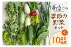 野菜セット 10種 詰め合わせ [風の丘ファーム 埼玉県 小川町 205] 野菜 やさい