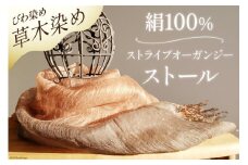 ストール 草木染 (びわ染め) 絹100％ ストライプオーガンジーストール [ 染色みむら 埼玉県 小川町 227 ] 草木染め 手染め 染色 絹 オーガンジー 枇杷 びわ