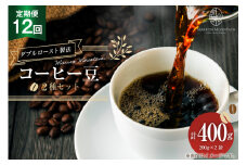 定期便 12回 コーヒー豆 2種セット 200g×2袋 [MARRON MOUNTAIN 埼玉県 小川町 309] 珈琲 ドリップ ダブルロースト製法 フルシティロースト