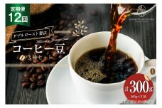 定期便 12回 コーヒー豆 3種セット 100g×3袋 [MARRON MOUNTAIN 埼玉県 小川町 306] 珈琲 ドリップ ダブルロースト製法 フルシティロースト