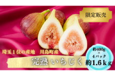 【期間限定】いちじく 冷蔵 約400g(4～6個程度)×4パック 計約1.6kg  桝井ドーフィン 無花果   川島町いちじく生産組合 川島町産 特産 埼玉県 川島町 