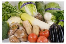 ＜旬の野菜　5～10品程度入り＞旬の野菜詰め合わせ（年３回お届け）