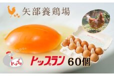 【矢部養鶏場のたまご】こだわりのブランドたまご　トップラン60個（10個パック×6）お取り寄せ 新鮮 ニワトリ 鶏 卵 たまご 玉子 タマゴ 卵かけご飯 TKG 人気 おすすめ 矢部養鶏場 川島町 埼玉