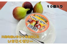 【いちじくゼリー】川島町産いちじくを贅沢に使用した「いちじくゼリー」１０個セット いちじく 川島町 ゼリー スイーツ デザート フルーツ 