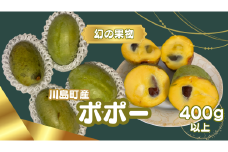 ※限定20個【幻の果物ポポー〈7月から先行予約受付中〉】希少な幻の果物ポポー400g以上　無農薬栽培 栄養豊富　希少国産　埼玉県　川島町　ポポー　期間限定（8月初旬ごろから発送開始のお品です）