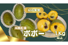※限定10個【幻の果物ポポー〈7月から先行予約受付開始！〉】 希少な幻の果物ポポー1kg以上　無農薬栽培 栄養豊富 希少 国産 埼玉県 川島町産 ポポー 期間限定 (８月初旬頃から発送開始のお品です)