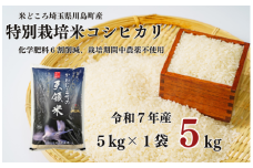 【先行受付】令和７年産米 ９月中発送予定　特別栽培米 コシヒカリ 白米 5kg （5kg×1袋）食味値80以上 栽培期間中農薬不使用 有機肥料 かわじま町の天領米 令和7年産 2025年産 小分け 米 コメ 安心 安全  減農薬 埼玉県認証 埼玉県 川島町
