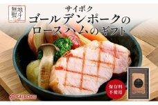 熨斗付き ゴールデンポークのロースハム ギフト セット 贈り物 こだわり 豚肉 ゴールデンポーク 加工品 簡単調理 おつまみ おかず お弁当 朝食 定番 サイボク 埼玉県 鳩山町