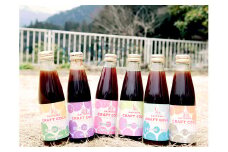 さいたまクラフトコーラ12本セット　A033
