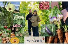 ひとつぶ農園「ときがわ有機野菜セット」  A003