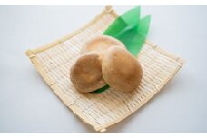 原木しいたけ詰め合わせセット（1.0kg）〜「日本農業賞」大賞受賞の農園〜【秩父 横瀬町 しいたけ 椎茸 シイタケ 原木しいたけ】