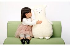 羊毛で暖かい「メリノン」癒しクッション（キョロ）【洗濯機で丸洗い可！】