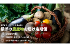 横瀬の農産物お届け定期便【3カ月に1度のお届け(全4回)】定期便 詰め合わせ 旬野菜 新鮮 直送 産地直送 野菜詰め合わせ 埼玉県 秩父郡 横瀬町 横瀬