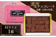 生チョコレート「長瀞一万坪の岩畳」Ｍサイズ（約133g）
