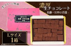 生チョコレート「長瀞一万坪の岩畳」Lサイズ（約189g）