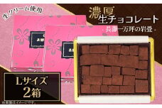 生チョコレート Lサイズ 2箱「長瀞一万坪の岩畳」約189g
