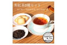 ながとろ和紅茶セット【1203234】