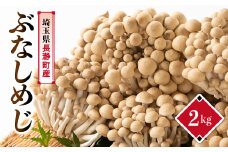 ぶなしめじ　2kg【1296449】