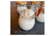 無添加たくとみプリン6個セット＜冷蔵＞【1316616】