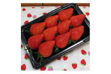 いちご260g×4パック入り(品種お任せ)【1382563】