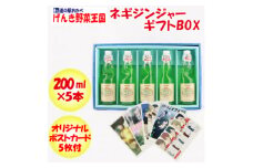 ネギジンジャー　ギフトBOX【1409222】
