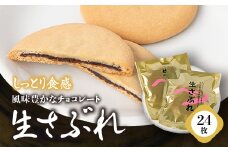 ＜しっとり食感＞生さぶれ24枚入り【1243939】