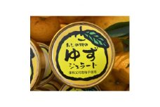 わしの村のジェラート　ゆず　100ml×10個【1277103】