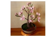 東秩父村　細川紙フラワー「桜(大)」【1142929】
