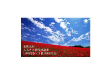 東秩父村ふるさと納税感謝券3,000円分(1,000円×3枚)【1345207】