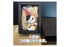 笠山猫(かさやまねこ)(3)よしにゃか【1457359】