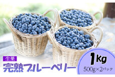 完熟ブルーベリー1kg（生果）＜期間限定＞【ブルーベリー王国美里町からお届け！】[No.177] 