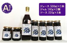 （Ａセット）ブルーベリージュース・ソース・ジャムセット【池田ブルーベリー園 生産農家が心を込めた「本物」】 [No.060]