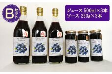 （Ｂセット）ブルーベリージュース・ソースセット【池田ブルーベリー園 生産農家が心を込めた「本物」】 [No.061]