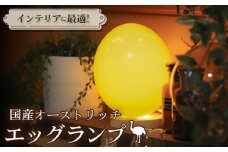 国産オーストリッチエッグランプ（LED電球白色）【インテリアに最適！】 [No.059-01]
