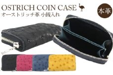オーストリッチ革小銭入れ（サックスブルー）【シンプルモデル 高級素材の代名詞！】 [No.031-03]