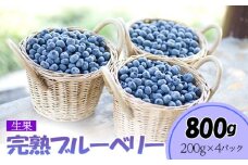 完熟ブルーベリー800g（生果）＜期間限定＞【ブルーベリー王国美里町からお届け！】[No.176] 