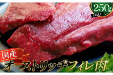 国産オーストリッチお試しフィレ肉250g [No.023]