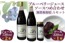 （Ａセット）ブルーベリージュース・ソースつめ合わせ【飯野果樹園 当園自慢の無農薬栽培！】 [No.148]