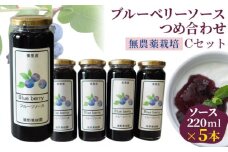 （Ｃセット）ブルーベリーソースつめ合わせ【飯野果樹園 当園自慢の無農薬栽培！】 [No.151]