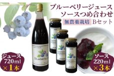 （Ｂセット）ブルーベリージュース・ソースつめ合わせ【飯野果樹園 当園自慢の無農薬栽培！】 [No.152]