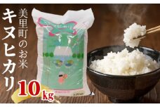 美里町のお米キヌヒカリ10kg【ソフトな食感でさっぱりとした口当たり】 [No.155]