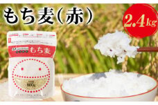 埼玉県産もち麦（赤）2.4kg（800g×3袋）[No.173] 